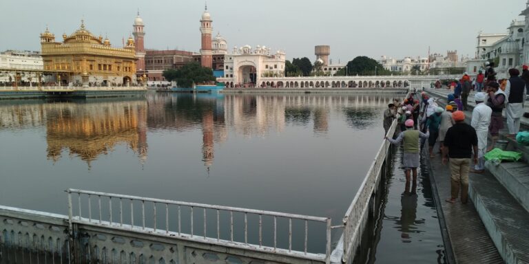 IMG_20201119_164524