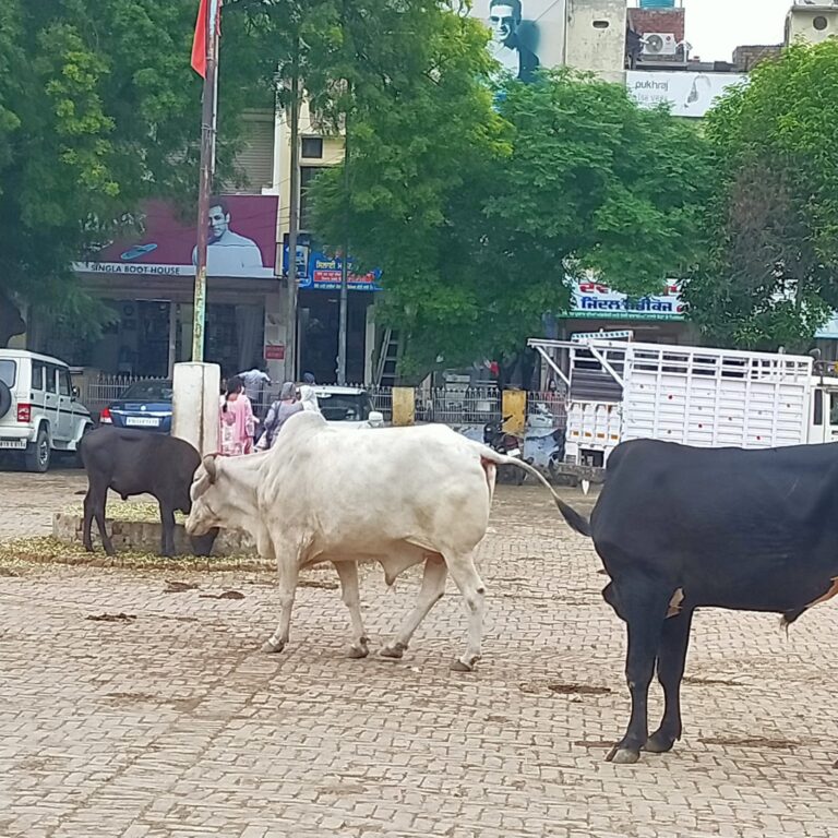 SAVE_20220805_183252